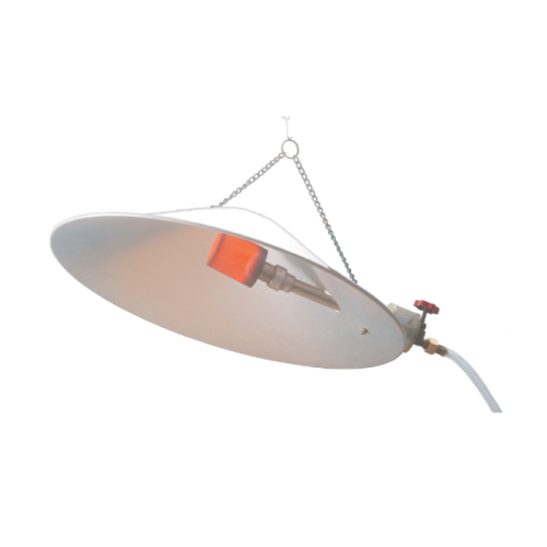Chismo  500 Gas Brooder Size: 15-30 Inch