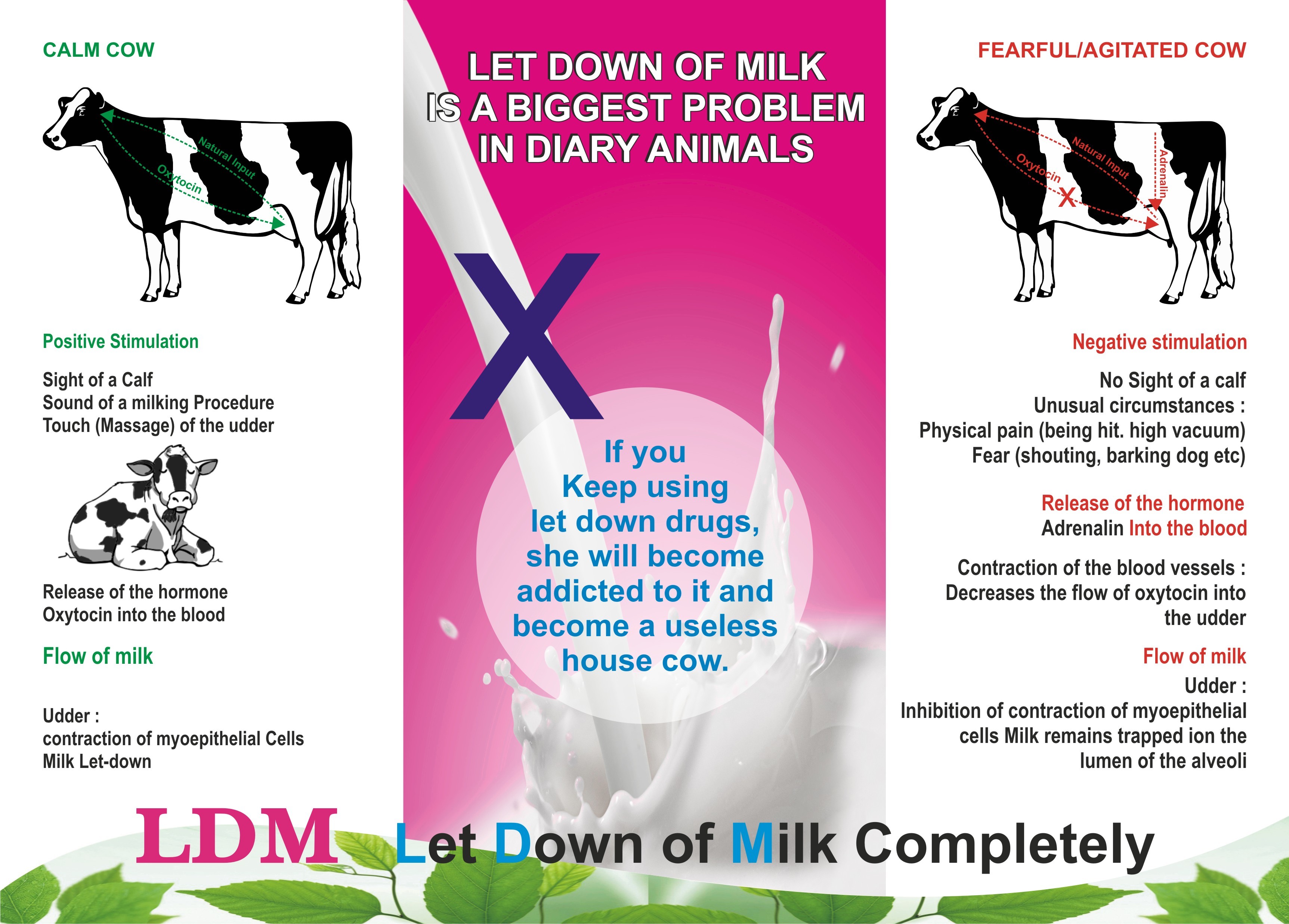 Ldm Application: Milk