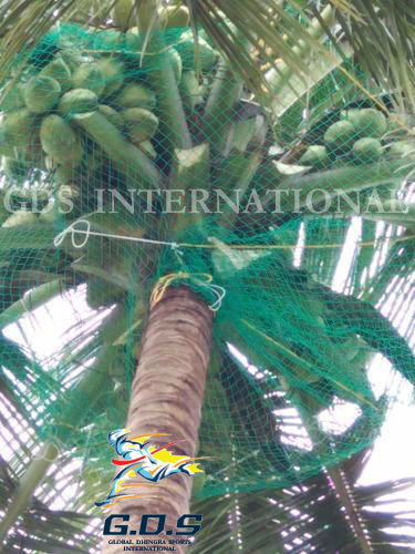 Coconut Safety Nets Digit Size: 25 X 16.5 X 10 Cm