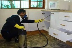 कीट नियंत्रण सेवाएँ