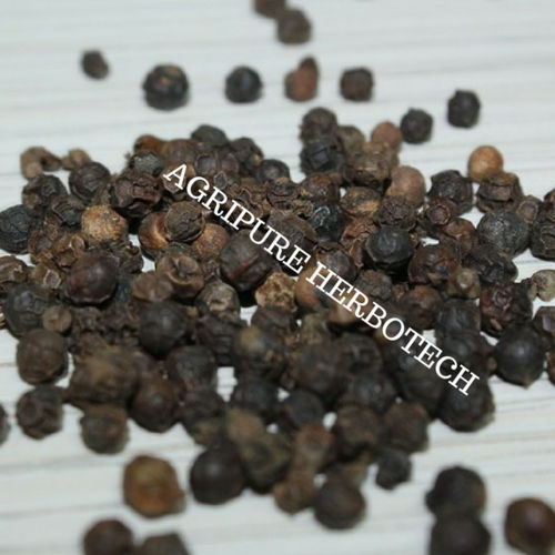 Black Pepper Oleoresin