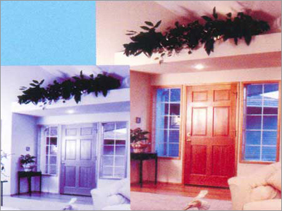 फ्लश दरवाजे