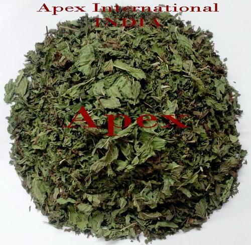 मेंथा अरवेन्सिस सामग्री: जड़ी बूटी