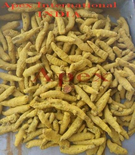 हल्दी