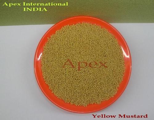 ब्रैसिका नाइग्रा