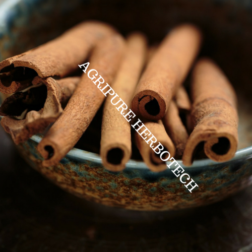 कैसिया तेल
