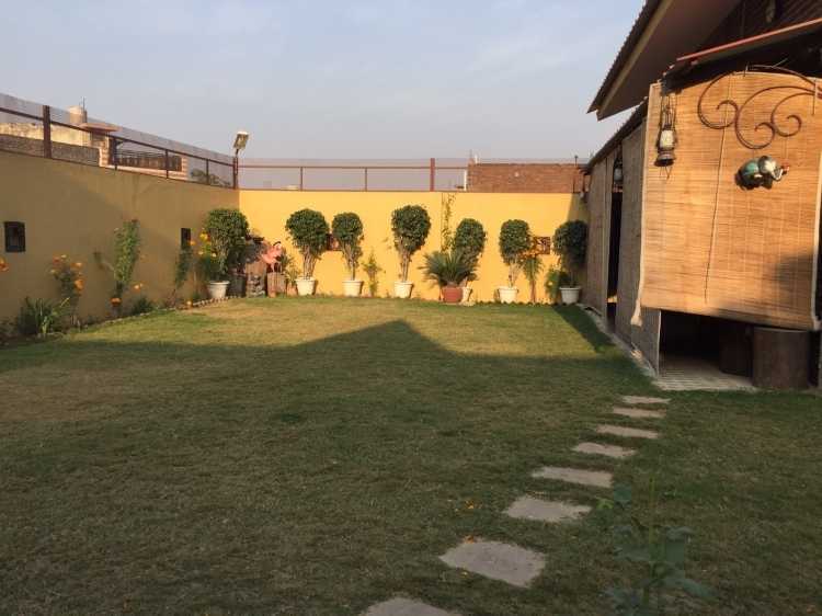 Terrace Garden Services