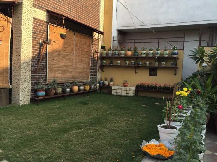 Terrace Garden Services
