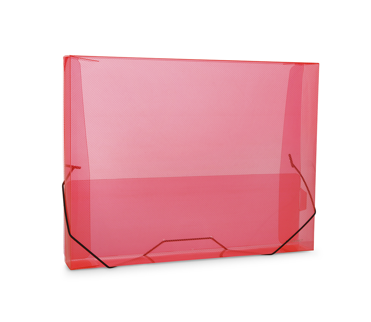 Polypropylene Document Case Transparent