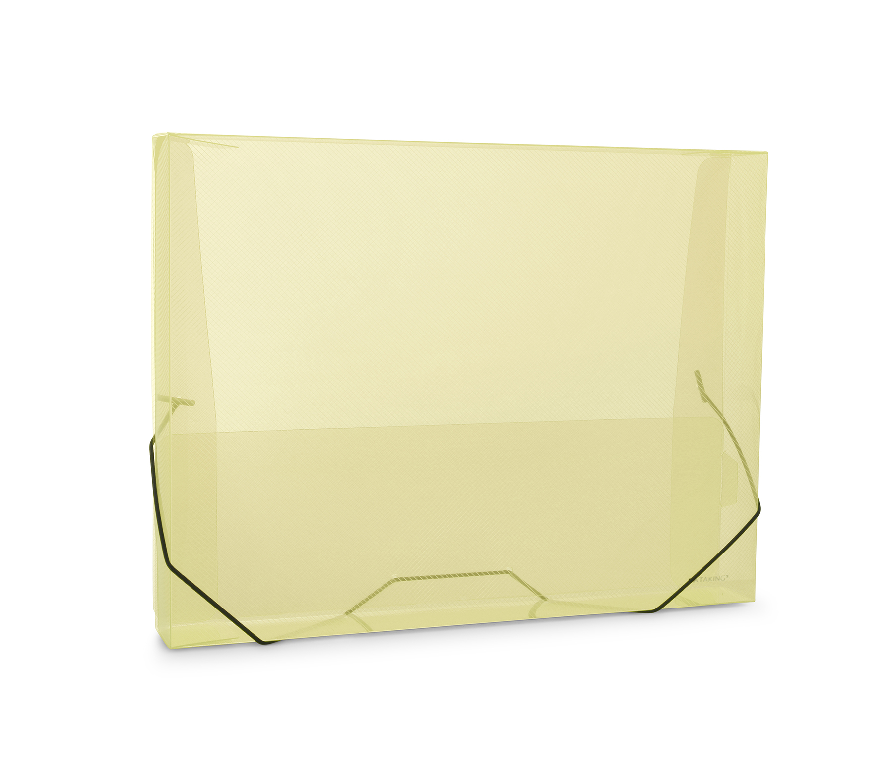 Polypropylene Document Case Transparent