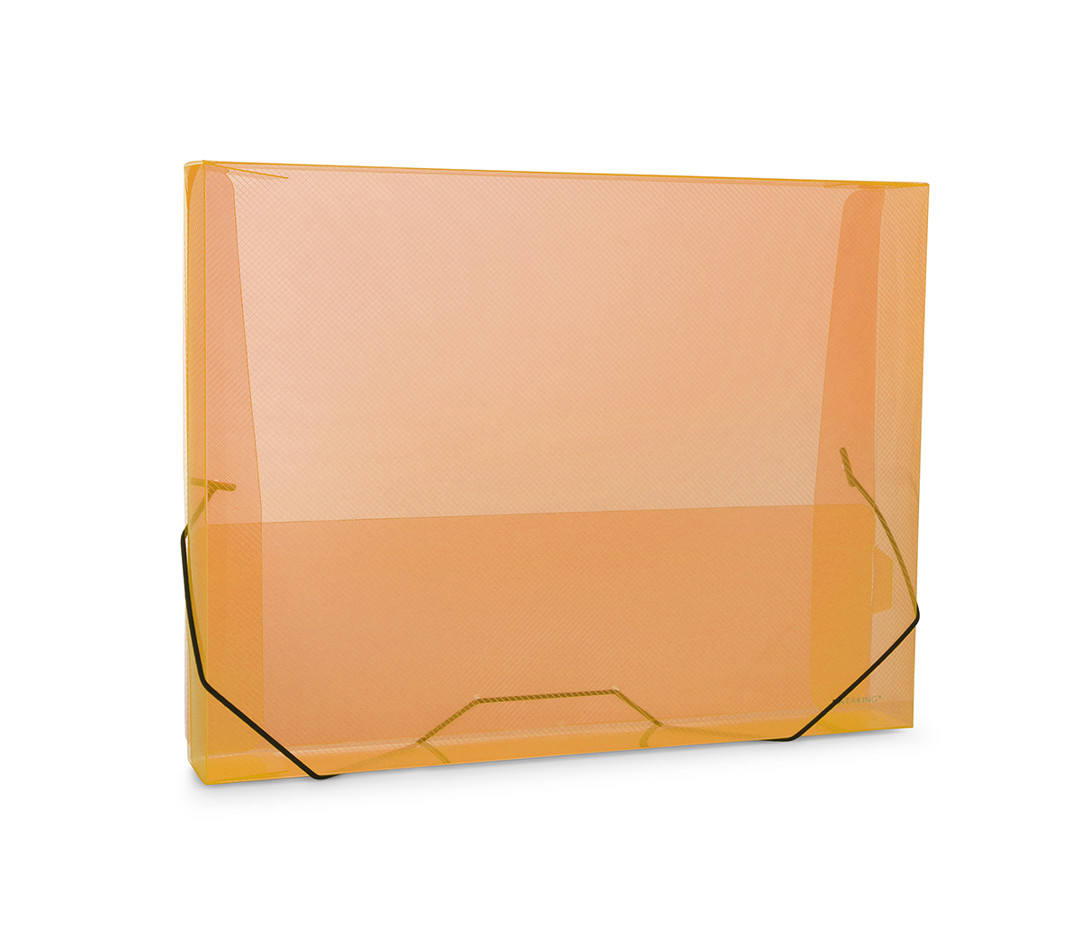 Polypropylene Document Case Transparent