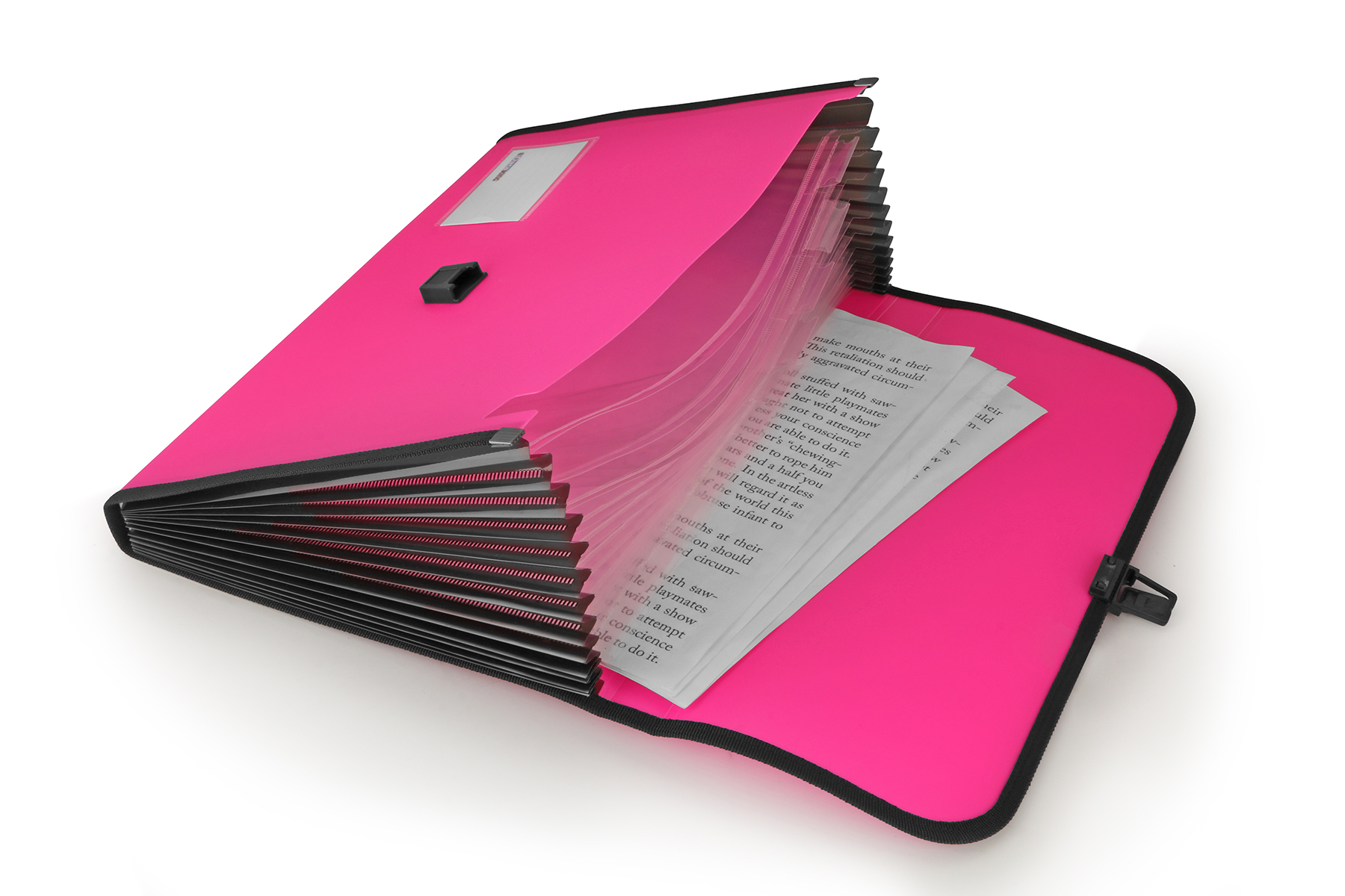 Polypropylene Expanding File 13 Pockets