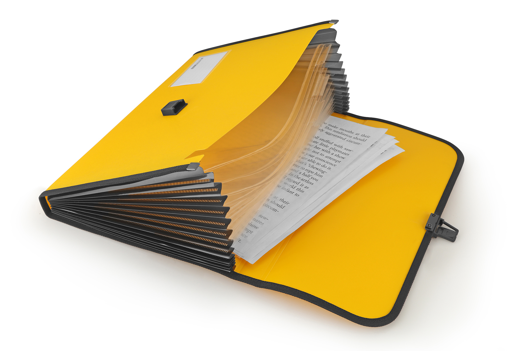 Polypropylene Expanding File 13 Pockets