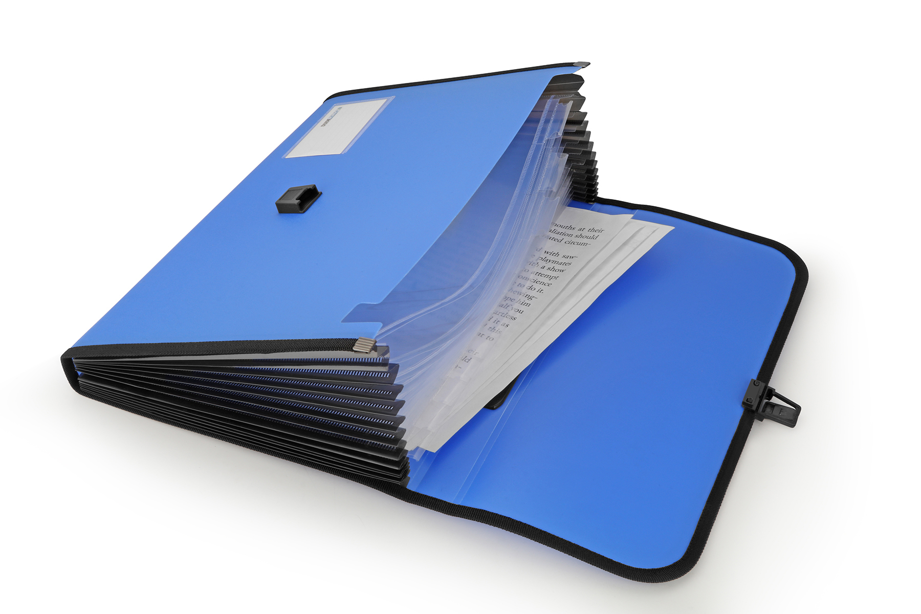 Polypropylene Expanding File 13 Pockets