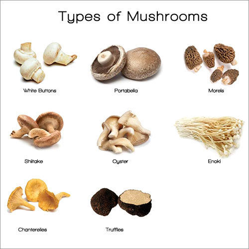 Mushrooms