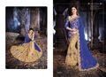 Blue Exclusive Net Designer Saree