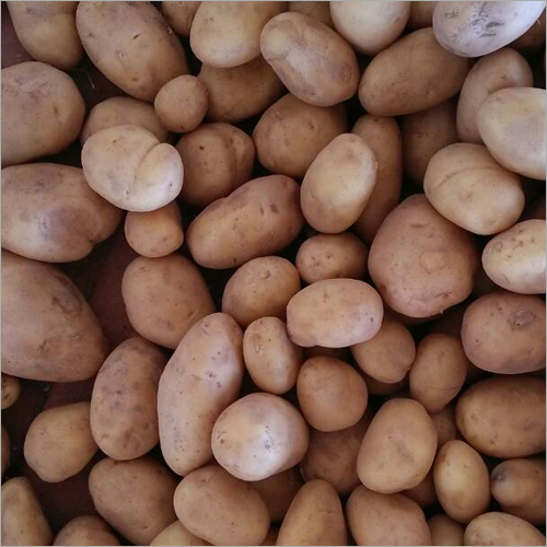 Frozen Potato