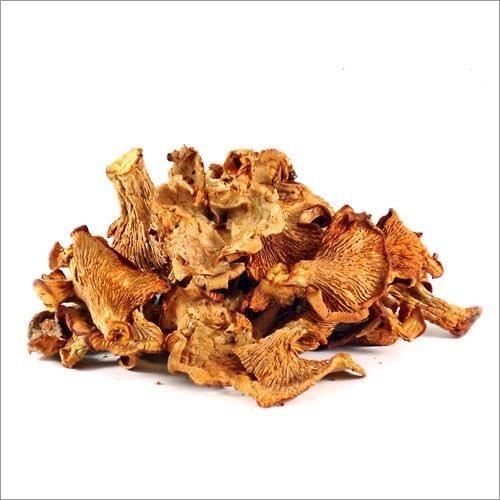 Dry Mushroom