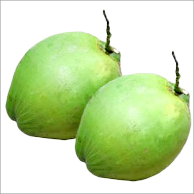 ताजा नारियल