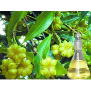 Anise Oil