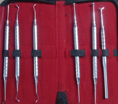 Burnisher Kit - Stainless Steel, Set of 6 Professional Dental Surgical Instruments | Portable, Non-Disposable