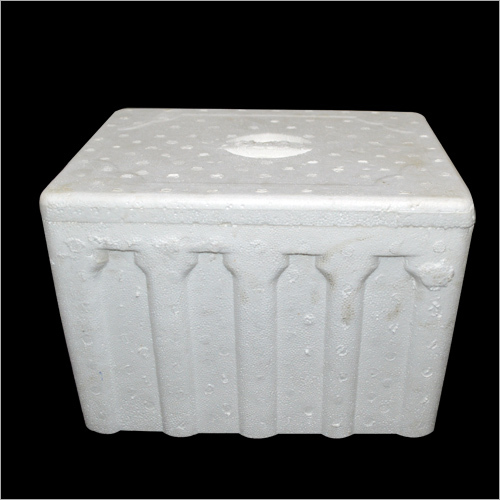 Ice Thermocol Box