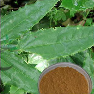 White Epimedium Extract