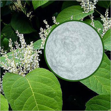 Resveratrol Extract - Trans-Resveratrol, 98% Purity, Off-white Yellowish Powder | Solvent Extracted from Grapes & Polygonum Cuspidatum