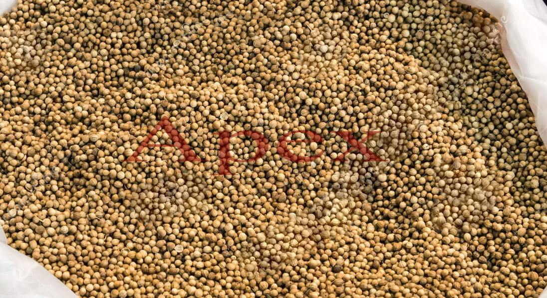 Dhania - Premium Organic Dried Coriander Leaves | Aroma-enhancing Culinary Ingredient, 100% Natural Quality