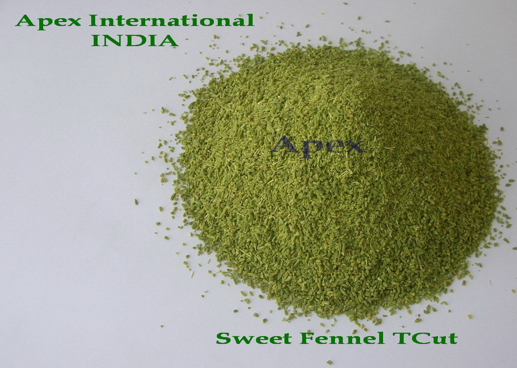 Saunf . - Color: Green