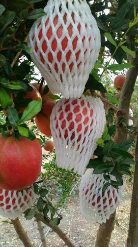 Pomegranate EPE Foam Net - EPE Foam Material, Multi-Color Options | Enhanced Dust Protection, Eco-Friendly, High Tear Strength, Durable Design