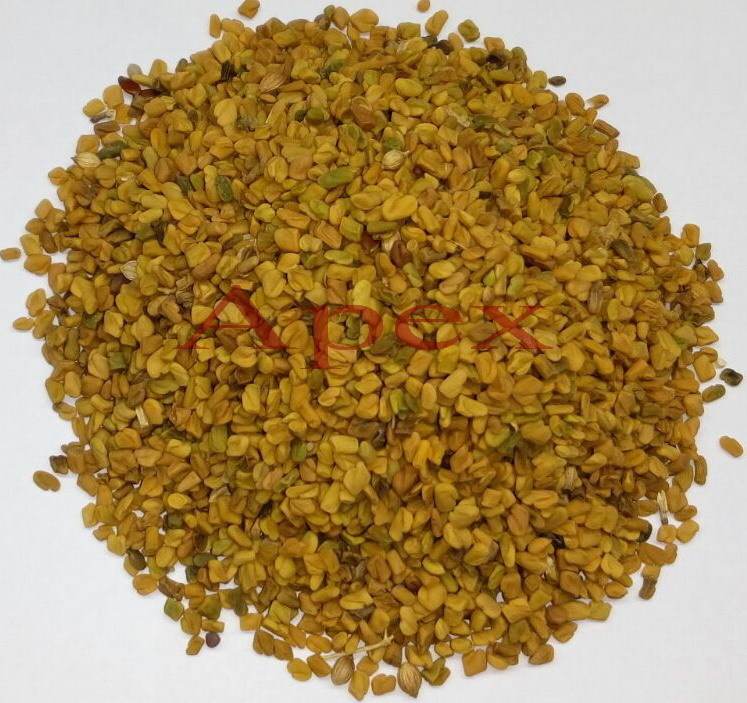 Methi - Natural Herbal Supplement Rich In Nutrients And Antioxidants For Health Benefits