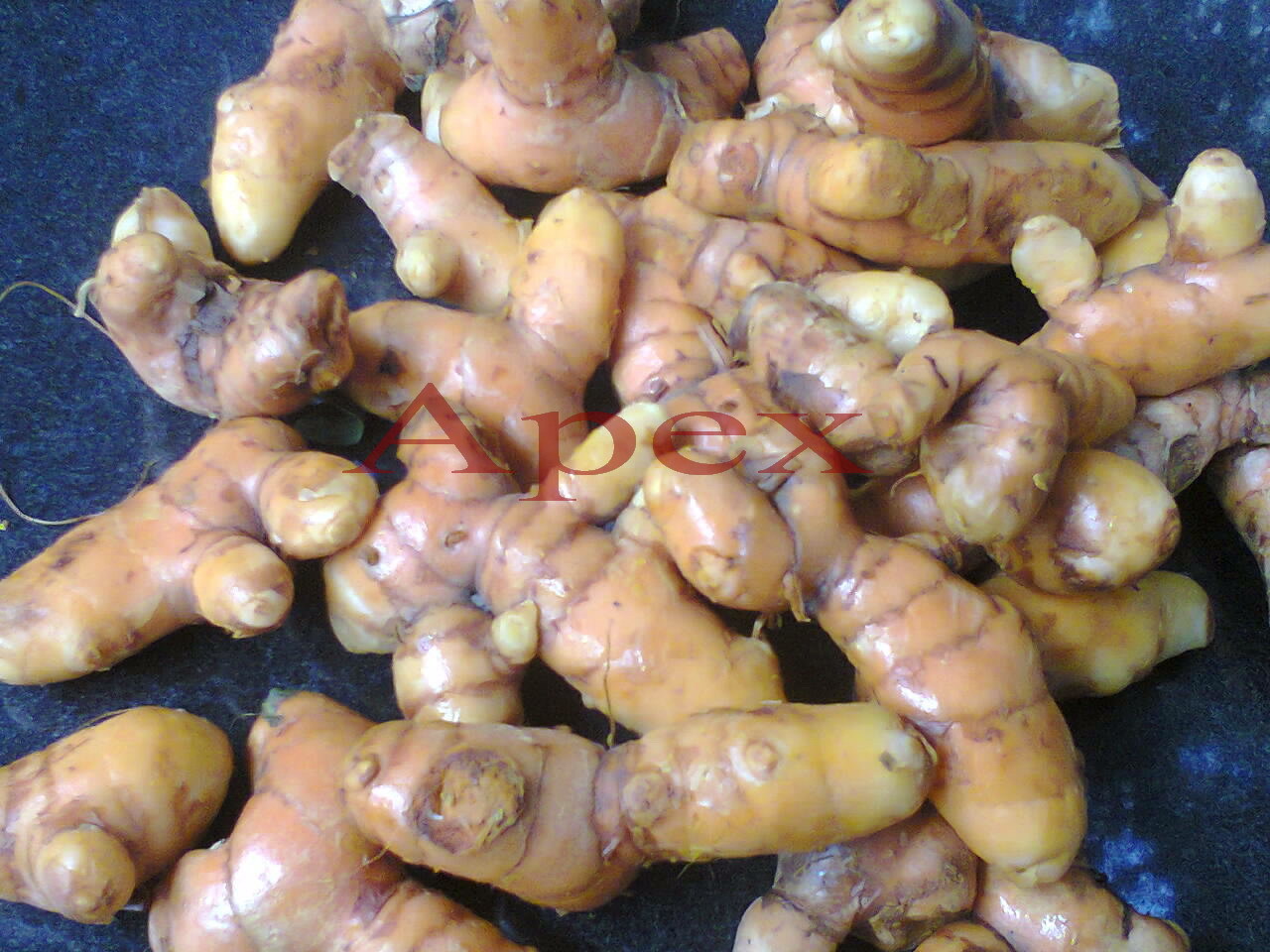 Curcuma Longa - Organic Turmeric Root Powder, Versatile Culinary Ingredient For Health Benefits