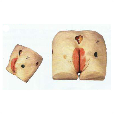 डेकुबिटस अल्सर केयर सिम्युलेटर