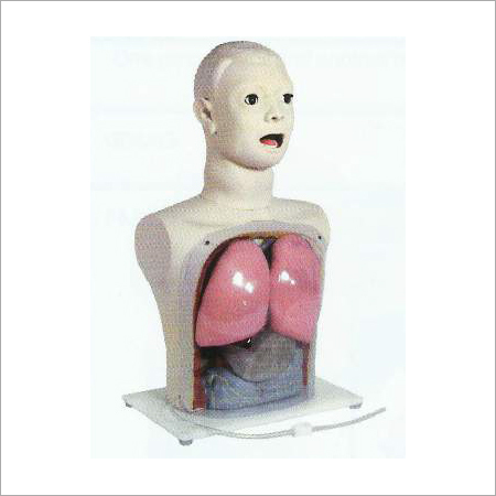 नाक से दूध पिलाना और गैस्ट्रिक लैवेज सिम्युलेटर