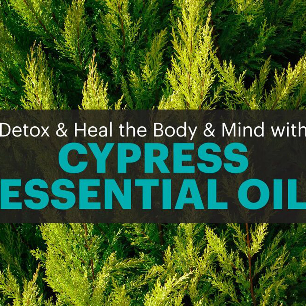 Cypress Oil Age Group: All Age Group