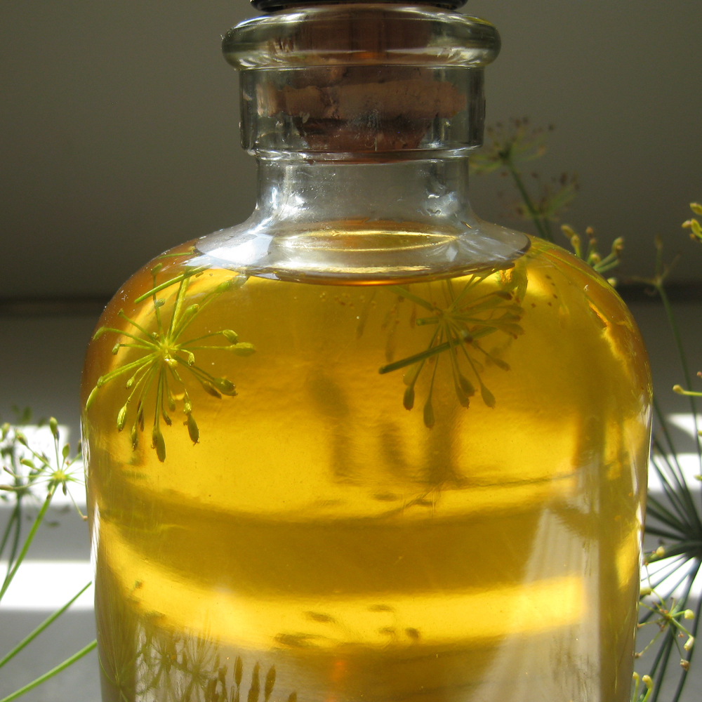Dill Seed Oil - Herbal Extract, 2-year Shelf Life | Antispasmodic, Disinfectant, Digestive Support For All Ages