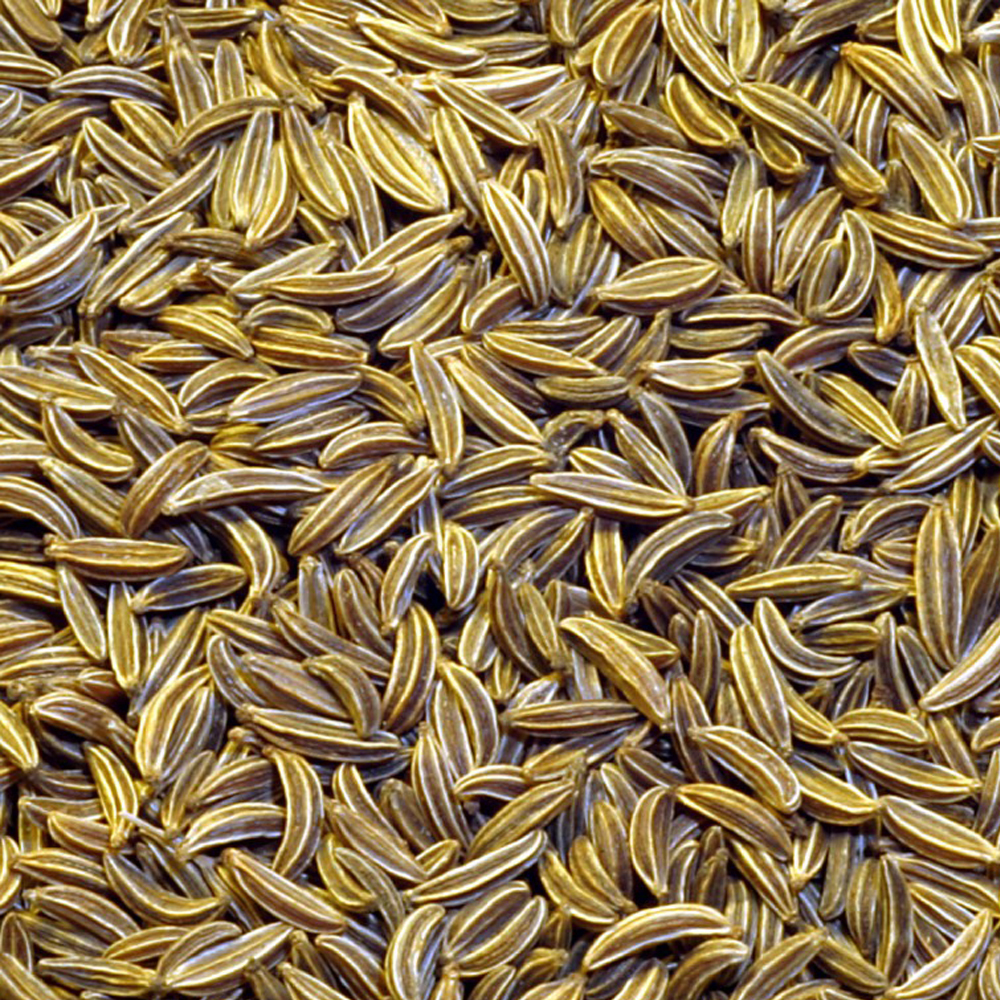 Cumin Oil Age Group: All Age Group