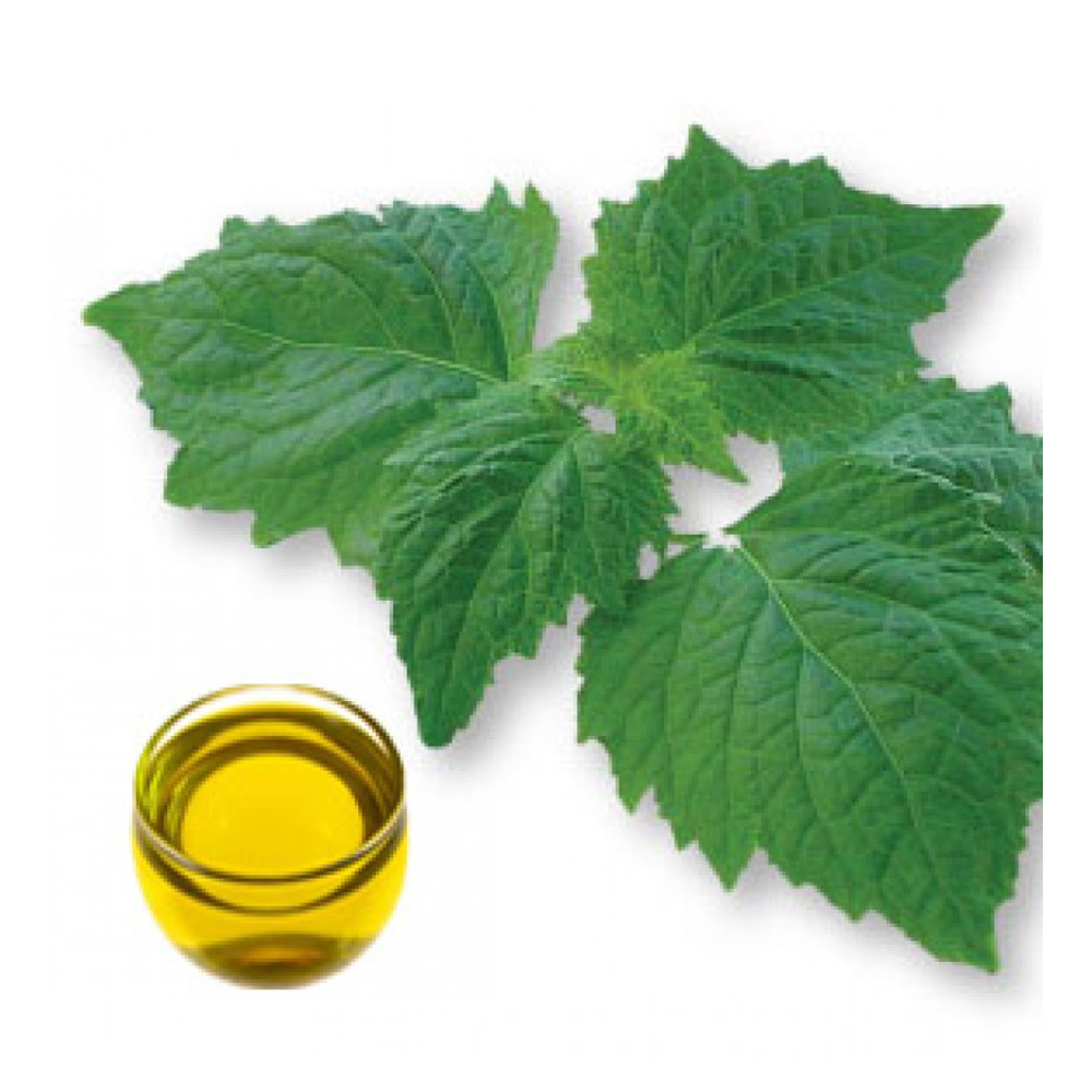 Patchouli Oil Age Group: All Age Group