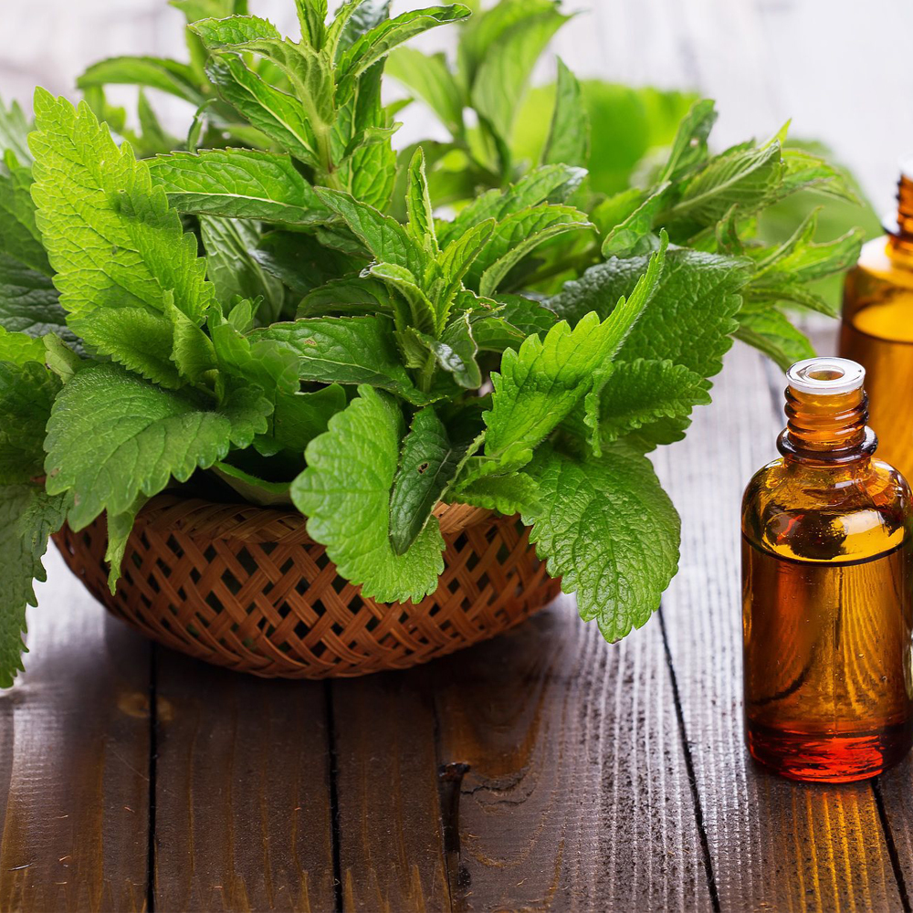 Peppermint Oil Shelf Life: 2 Years