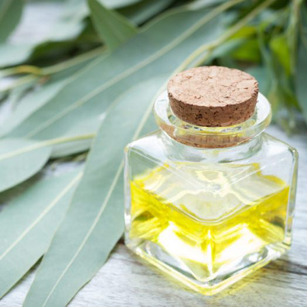 Eucalyptus Oil Perfume Oil Age Group: Adults