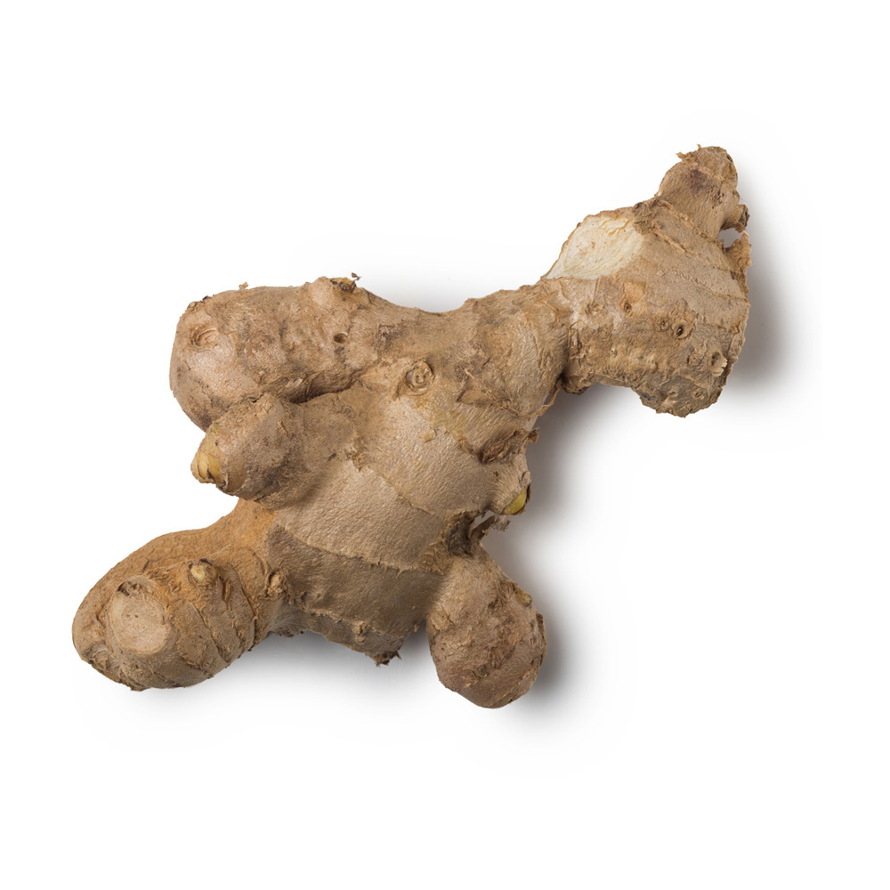 Ginger Oil Age Group: All Age Group