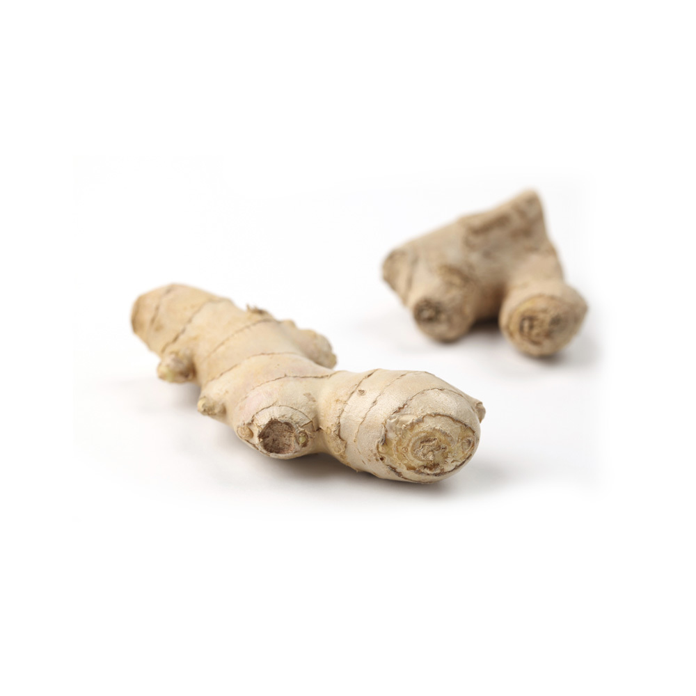 Ginger Oil Age Group: All Age Group