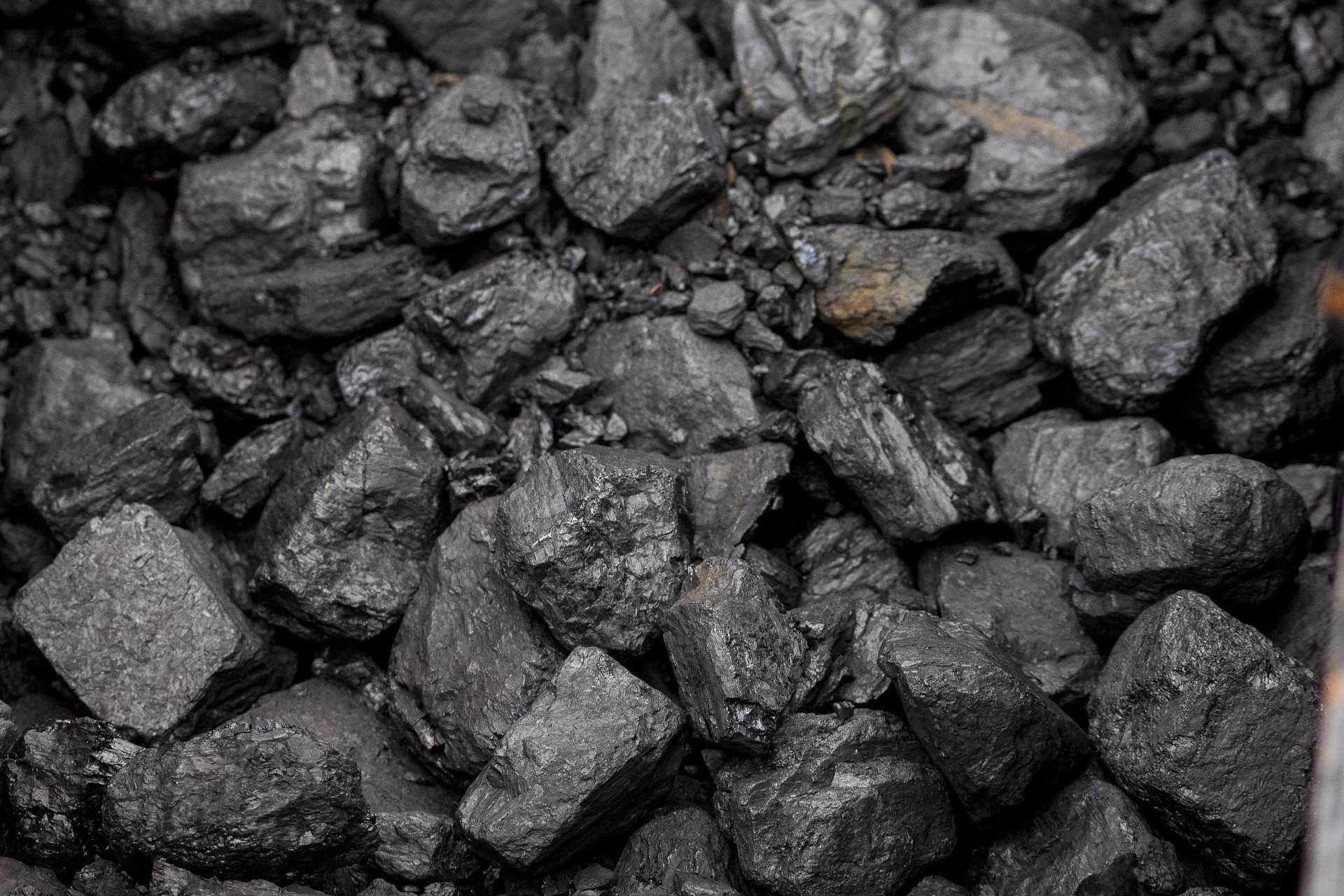 Steam Coal