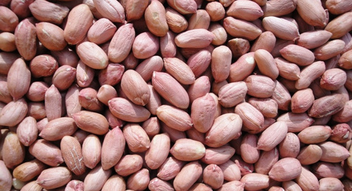 मूंगफली की गुठली