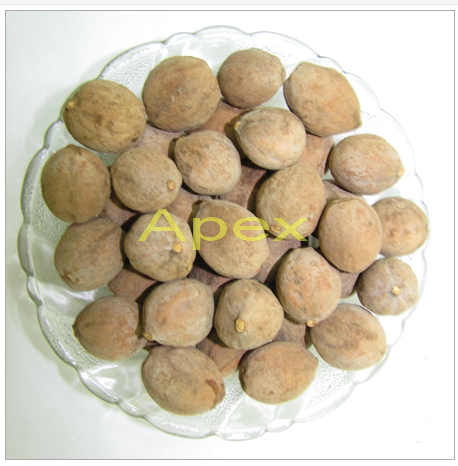 Bahera - Dried Herbal Ingredients, 50 Kg Bags | 12 Months Shelf Life, Store In Dry Conditions