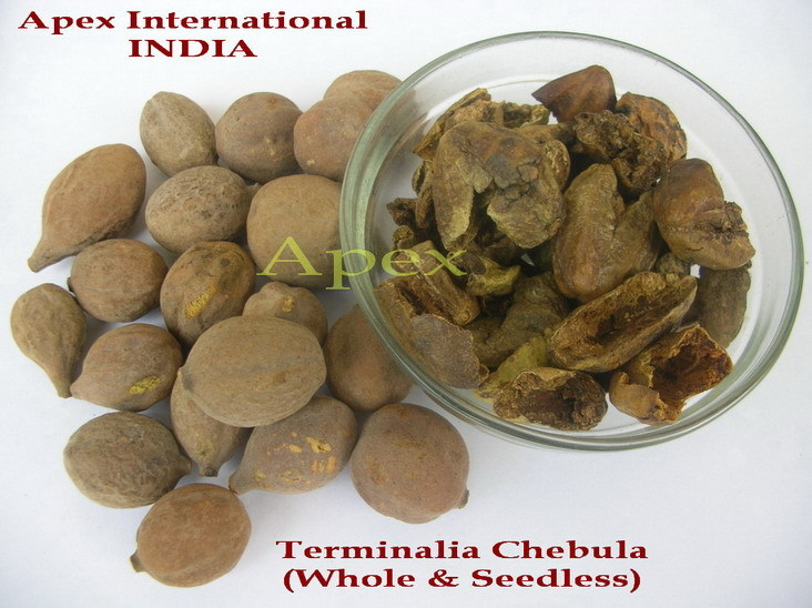 Bahera - Dried Herbal Ingredients, 50 Kg Bags | 12 Months Shelf Life, Store In Dry Conditions