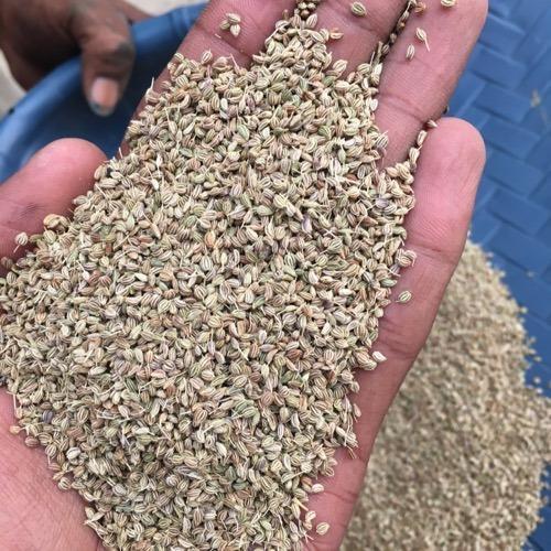 Ajwain Seeds - Purity 97%, Moisture 11.00% Max, Admixture 3% | Brown Color, Excellent Taste, Exotic Flavor, No Adulteration, Rich In Minerals, Vitamins, Antioxidants