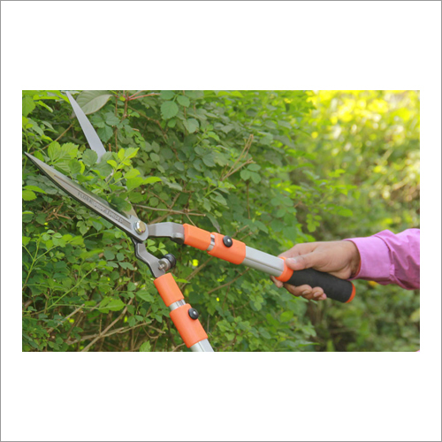 Hedge Shears