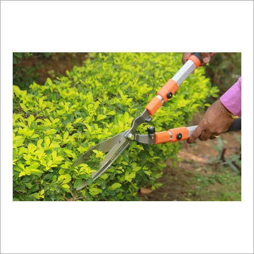 Hedge Shears